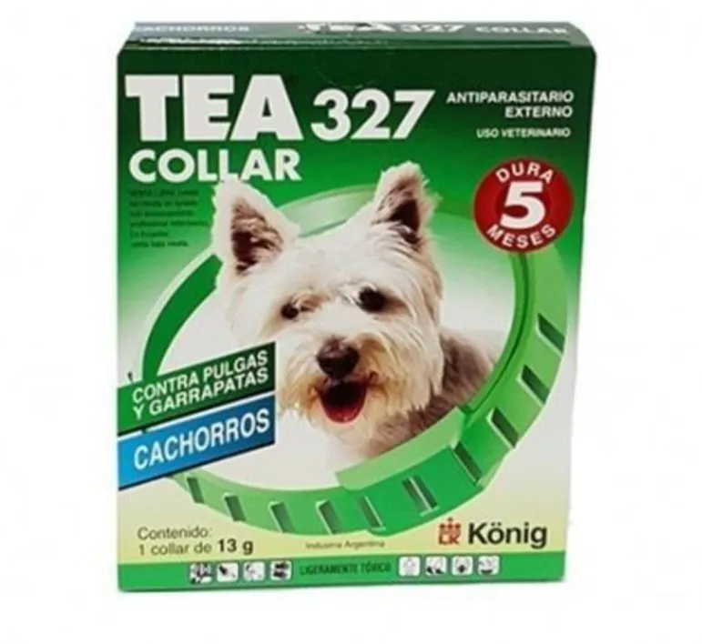 Tea collar cachorros