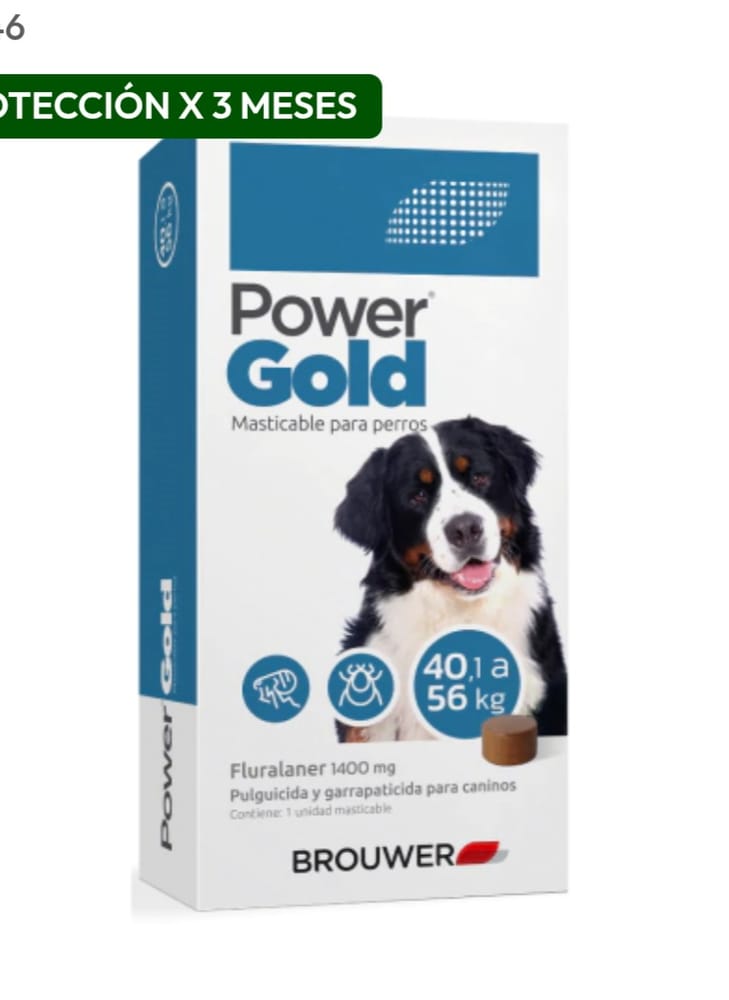 Power Gold 40 a 56 kg