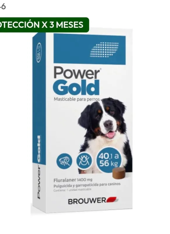 Power Gold 40 a 56 kg