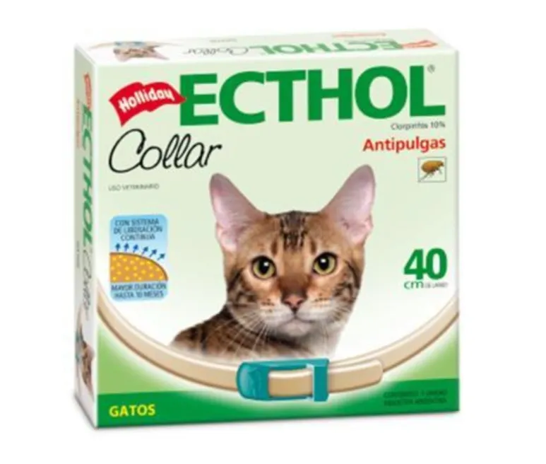 Ecthol collar gatos
