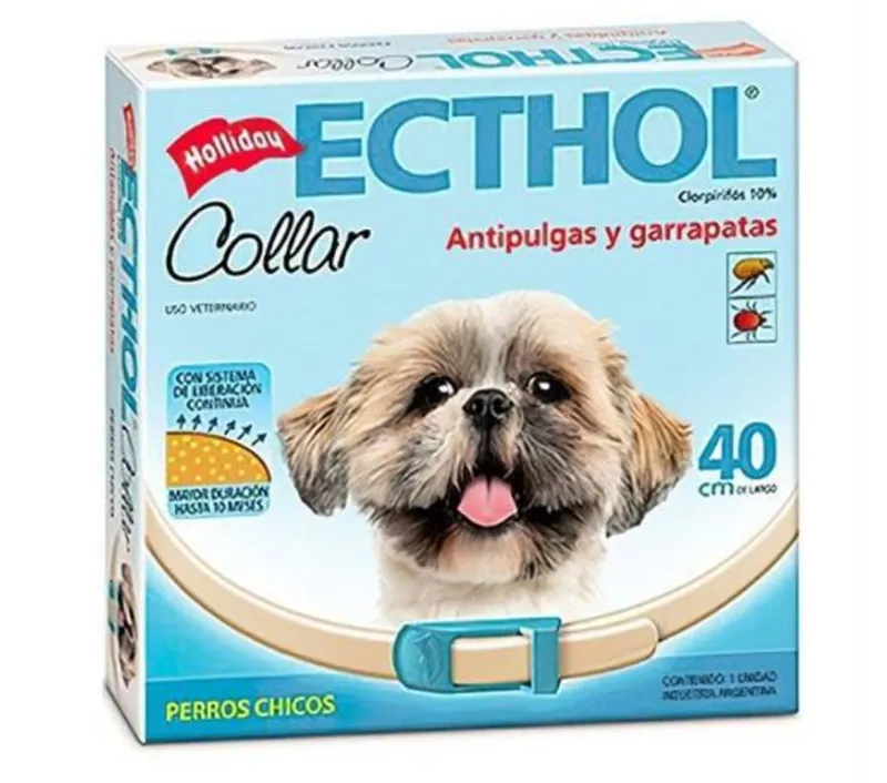 Ecthol collar perros