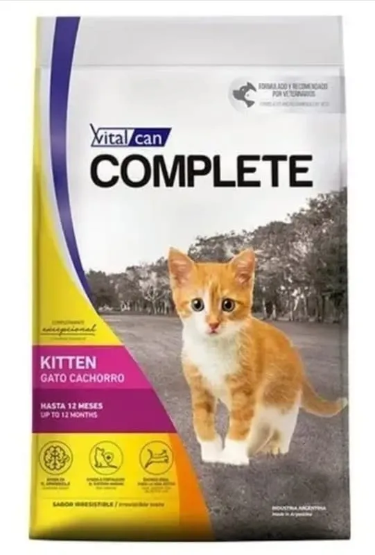 Gato cachorro 7,5 kg