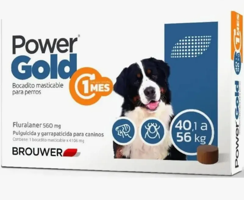 Power Gold 40 a 56 kg